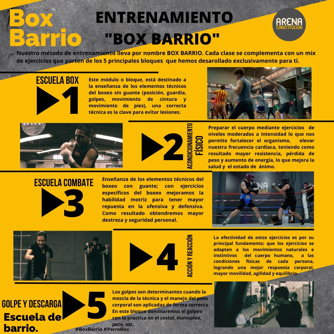 Arena Boxing 5